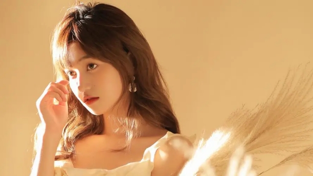 k1体育登录入口官网网址FFW-029 PVC防风网——全天候守护,尽情挥洒