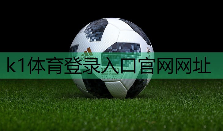 k1体育十年品牌值得信赖官网入口室内健身器械云梯